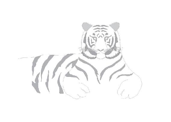 Tiger Zodiac Sign